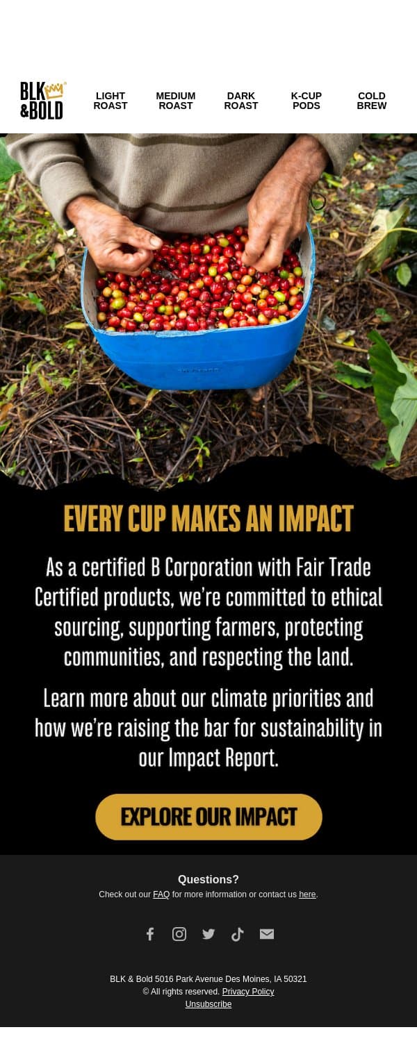 Brewing Impact with Every Cup☕🫖 email from BLK & Bold Specialty Roastery screenshot