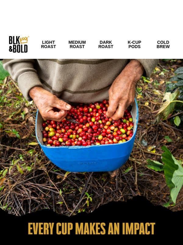 Brewing Impact with Every Cup☕🫖 email from BLK & Bold Specialty Roastery