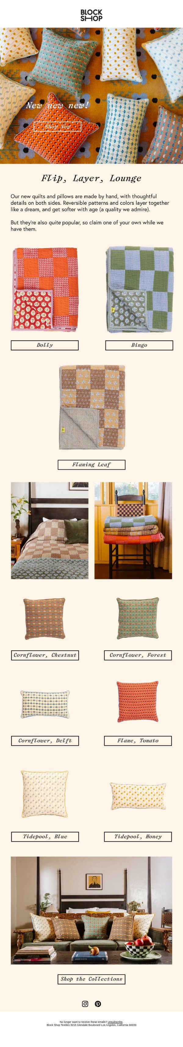 Have you met our new quilts and pillows? email from Block Shop Textiles screenshot