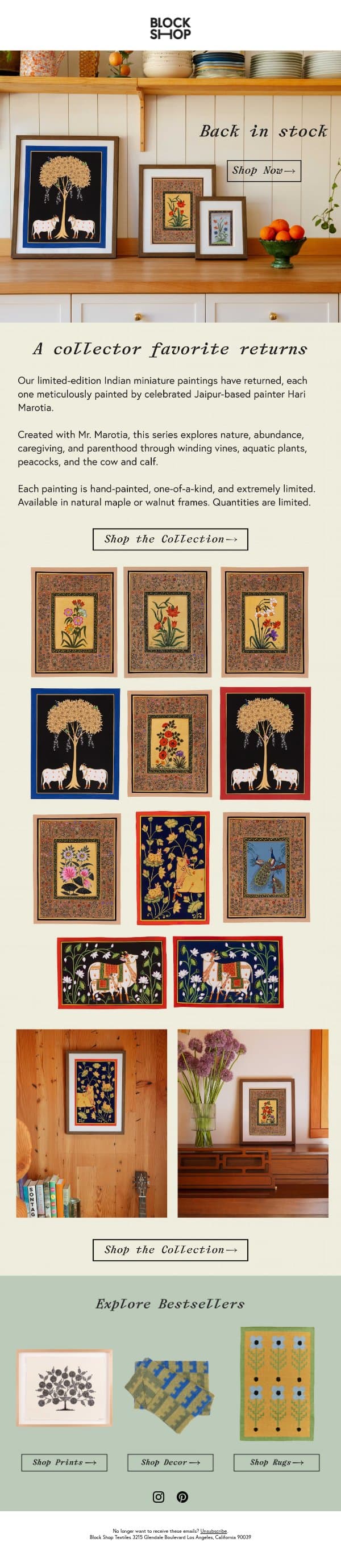 Sold out Indian Miniature Paintings are back email from Block Shop Textiles screenshot