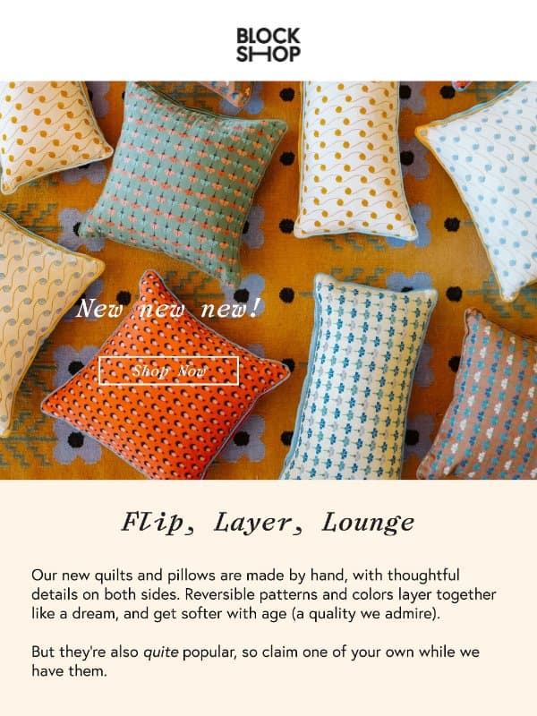 Have you met our new quilts and pillows? email from Block Shop Textiles