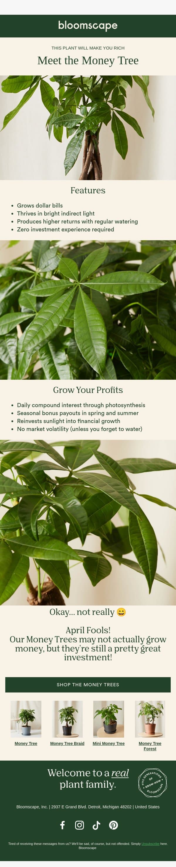 Money really does grow on trees email from Bloomscape screenshot