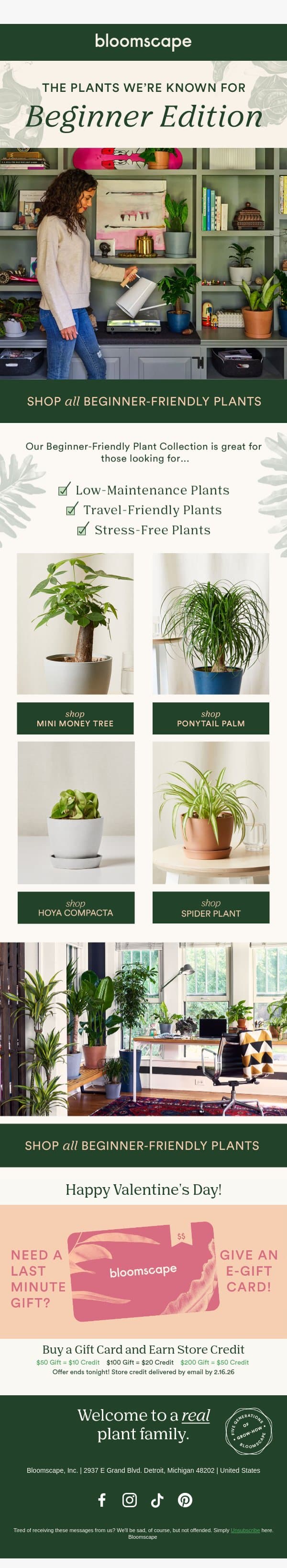 New to plant parenting? email from Bloomscape screenshot
