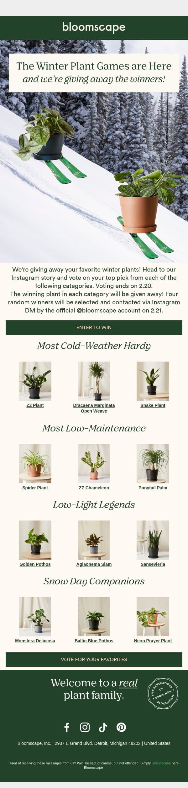 Vote for Gold 🥇 email from Bloomscape screenshot