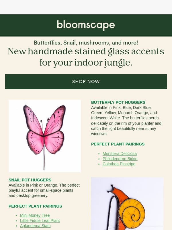 New friends for your plants! ๐ฆ๐๐ email from Bloomscape