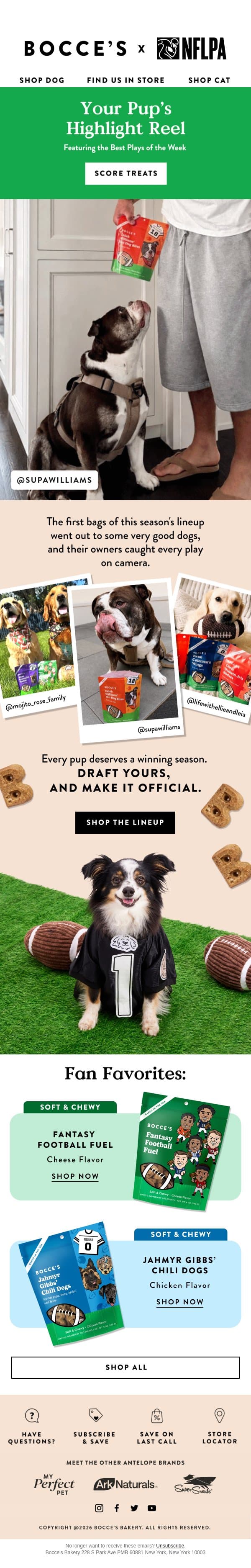 The proof is in the pups ππ email from Bocce's Bakery screenshot