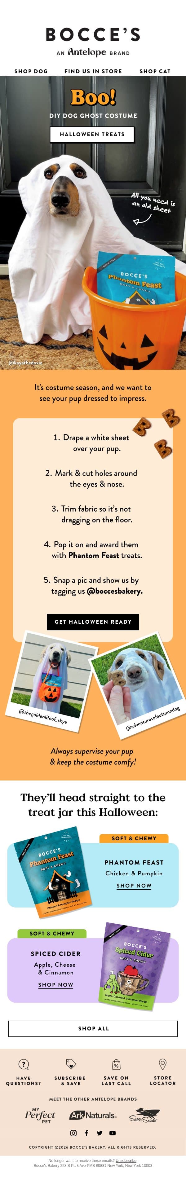 Try this DIY Ghost Costume for Your Pup π» email from Bocce's Bakery screenshot