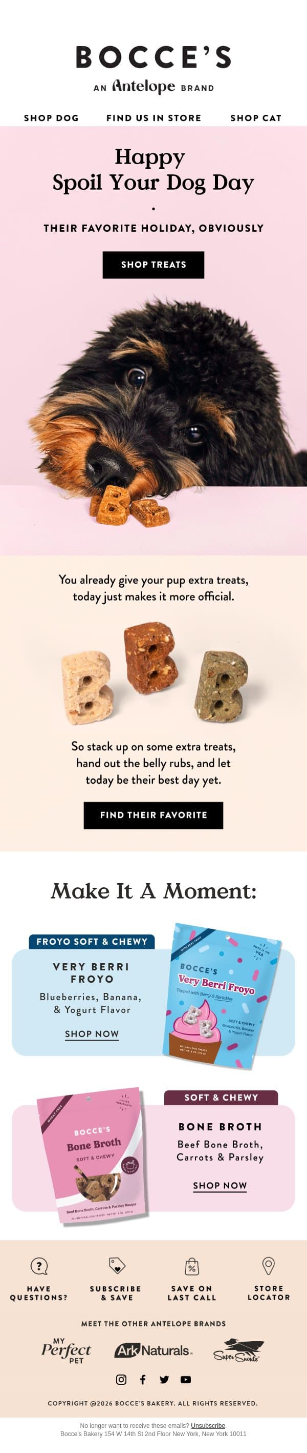 Spoil Your Dog Day is here 🐾 email from Bocce's Bakery screenshot