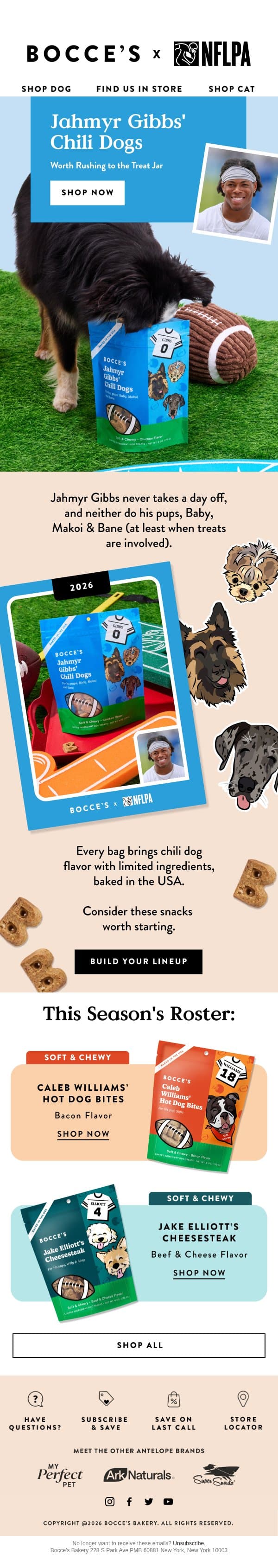 NEW: Jahmyr Gibbs’ Chili Dogs 🌭🐶 email from Bocce's Bakery screenshot