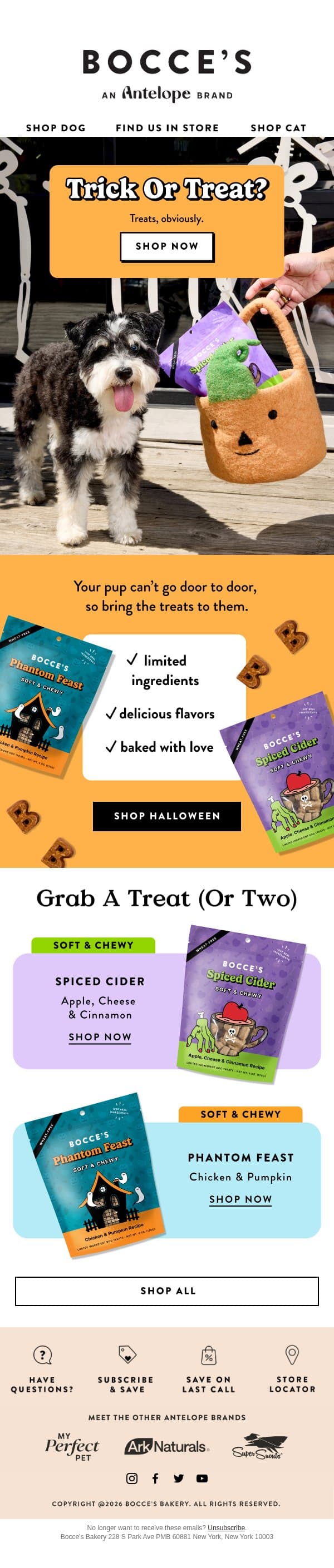 Trick or treat? Easy. π πΆ email from Bocce's Bakery screenshot