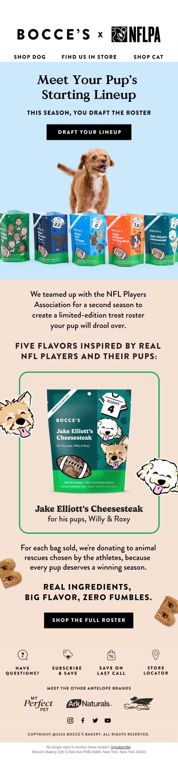 NEW! Bocce’s x NFL Players Association 🏈 🐾 email from Bocce's Bakery screenshot