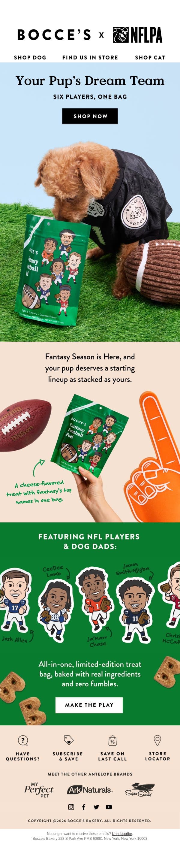 Fantasy fuel for your pup 🏈🐾 email from Bocce's Bakery screenshot