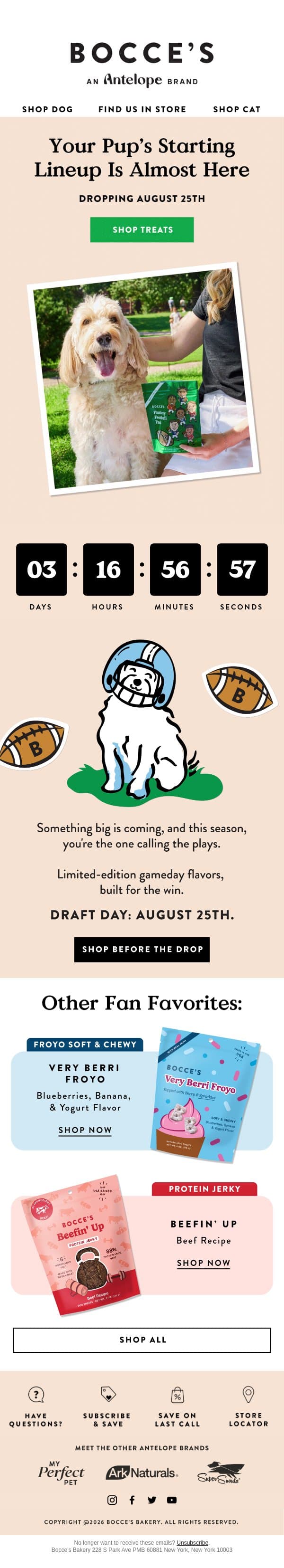 Your pup's roster drops soon π email from Bocce's Bakery screenshot