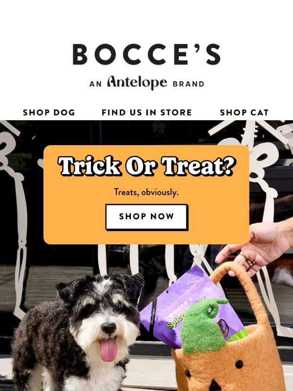 Trick or treat? Easy. 🎃 🐶 email from Bocce's Bakery