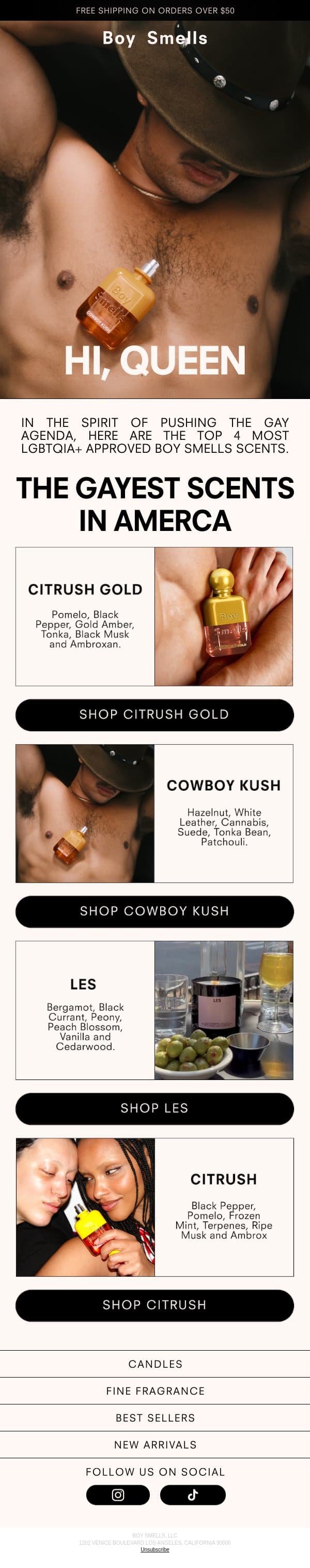 These 4 scents pass the vibe check email from Boy Smells screenshot