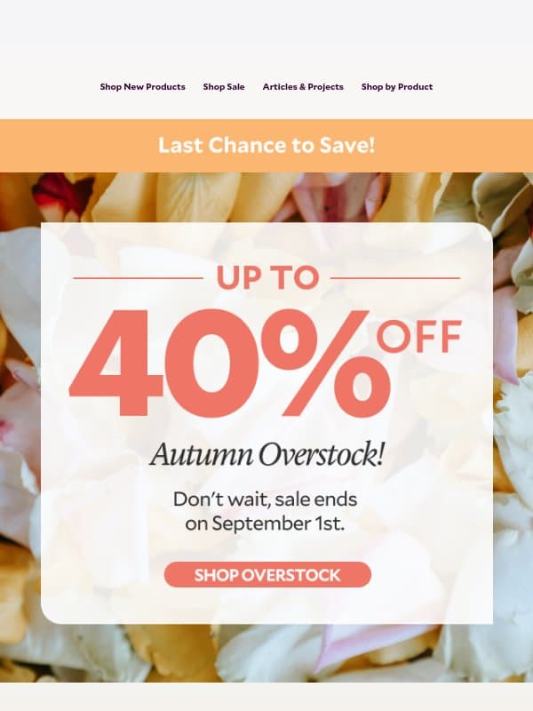 LAST CHANCE: Up to 40% OFF Overstock Ends Tomorrow email from Bramble Berry