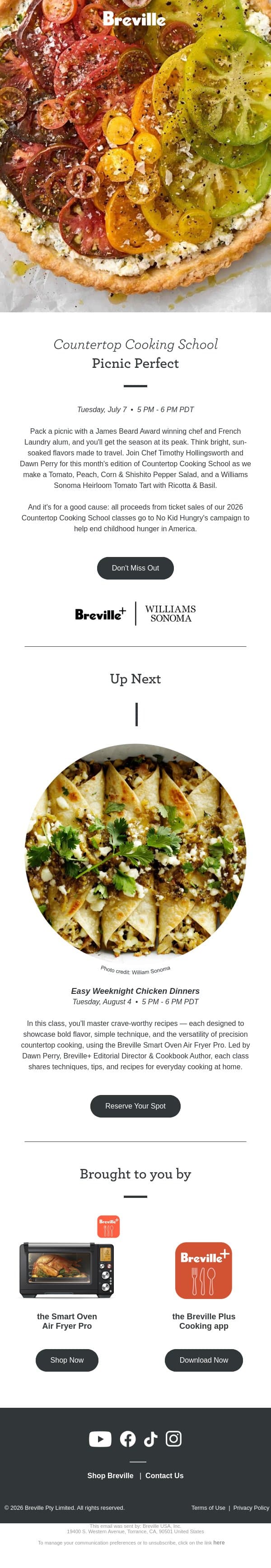 Picnic Perfect email from Breville screenshot