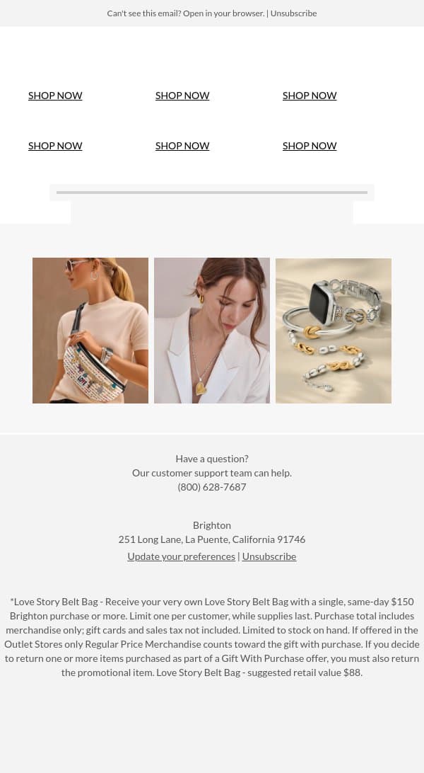 The Fall Handbag Edit email from Brighton Collectibles screenshot