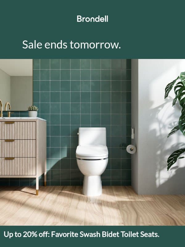 It's not too late for up to 20% off! email from Brondell