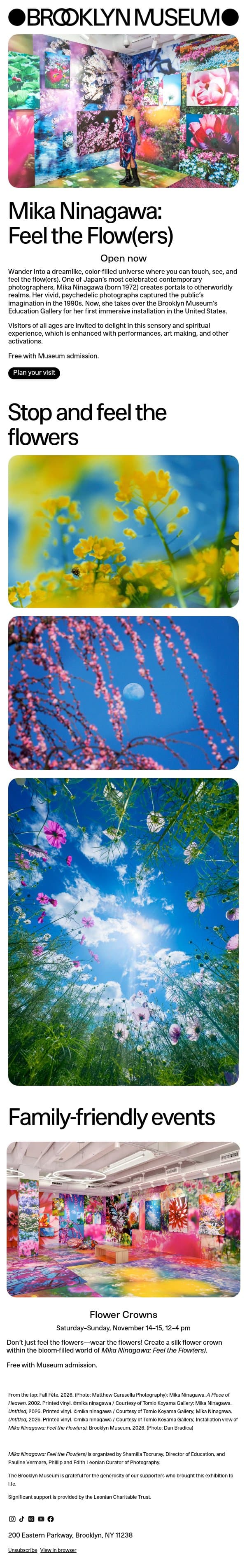 Enter the bloom-filled world of Mika Ninagawa 🌸 email from Brooklyn Museum | New York NY screenshot
