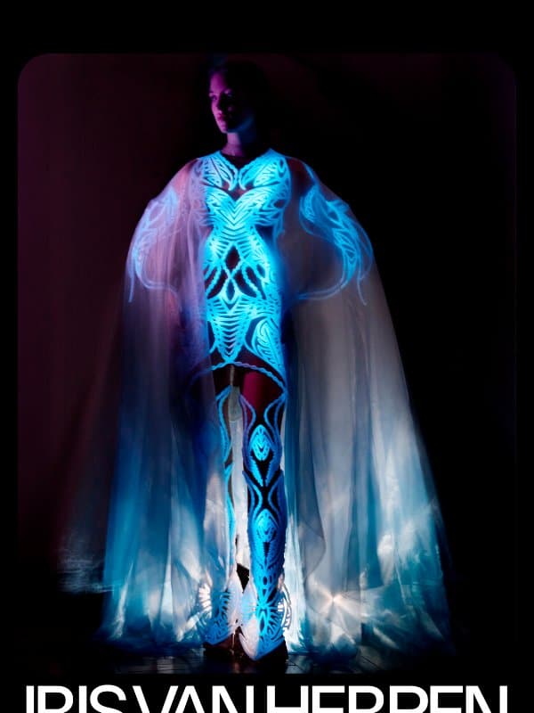 Is this dress alive? email from Brooklyn Museum | New York NY