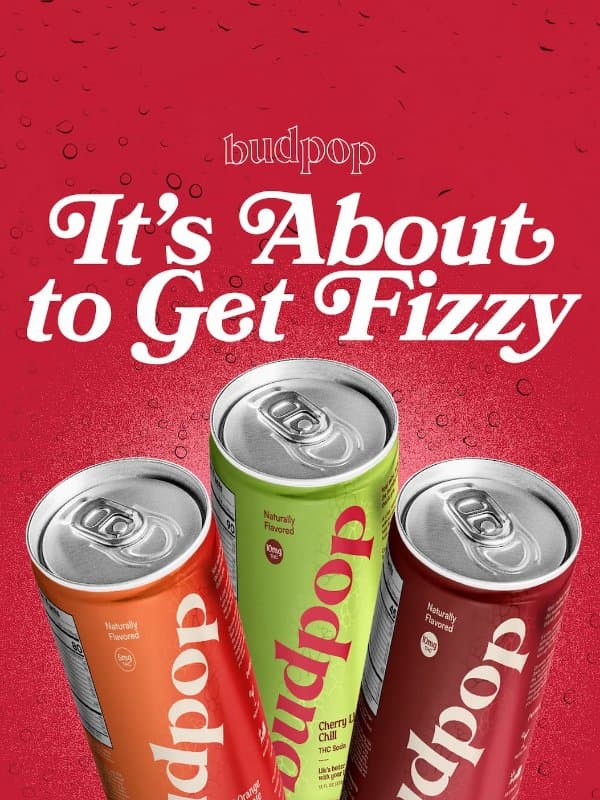 Something New Is About to Pop 🥤 email from Budpop