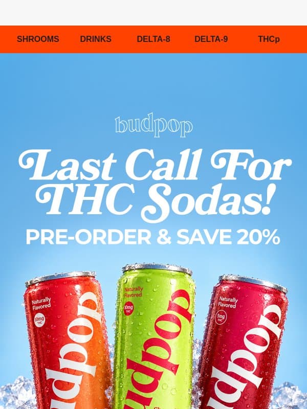 Bud, Your 20% OFF Ends TONIGHT! ⏰ email from Budpop