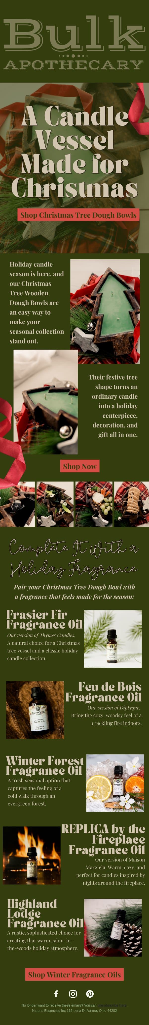 🎄Make Your Holiday Candles Stand Out🎄 email from Bulk Apothecary screenshot