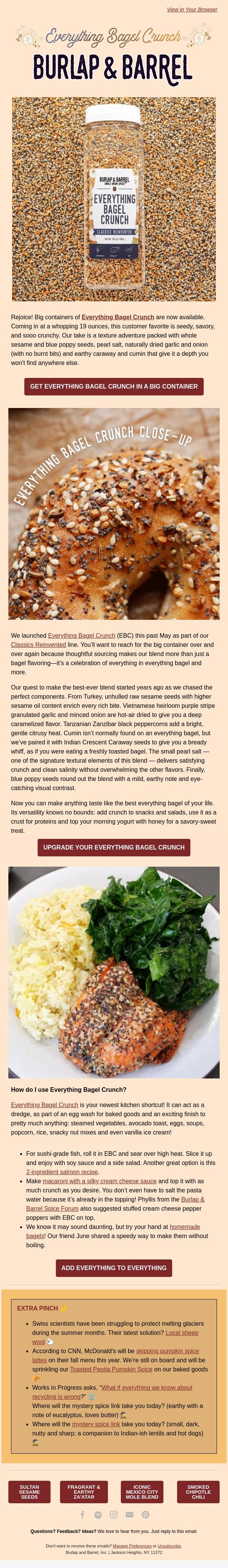 Supersized Everything Bagel Crunch 🥯 email from Burlap & Barrel screenshot