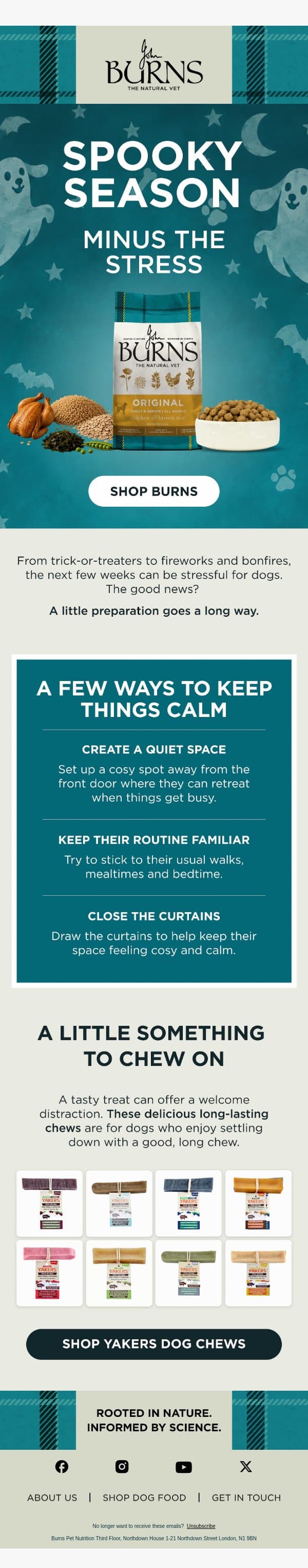 Help your dog feel more comfortable email from Burns Pet Nutrition screenshot