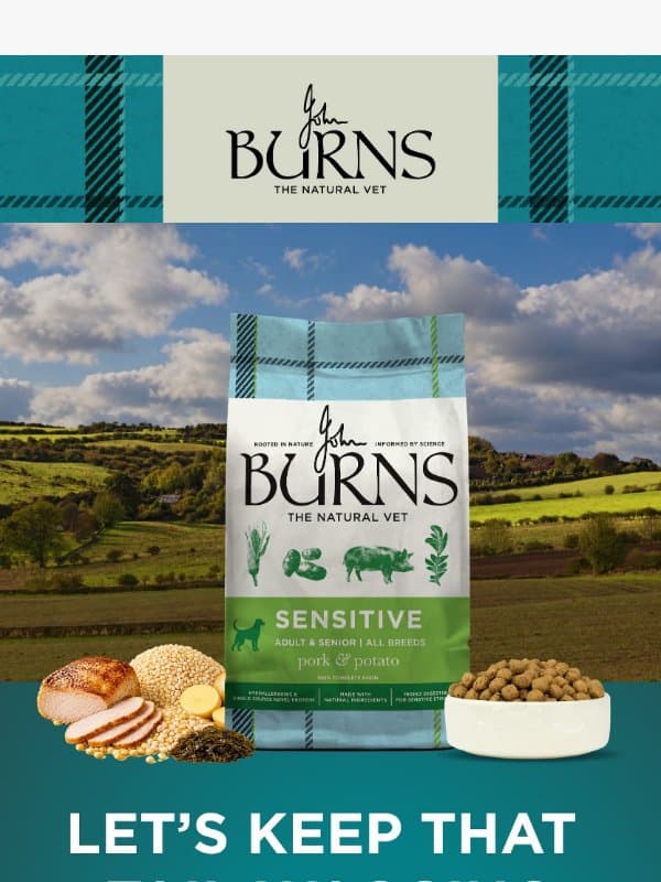 Autumn is here. How's their tummy? email from Burns Pet Nutrition