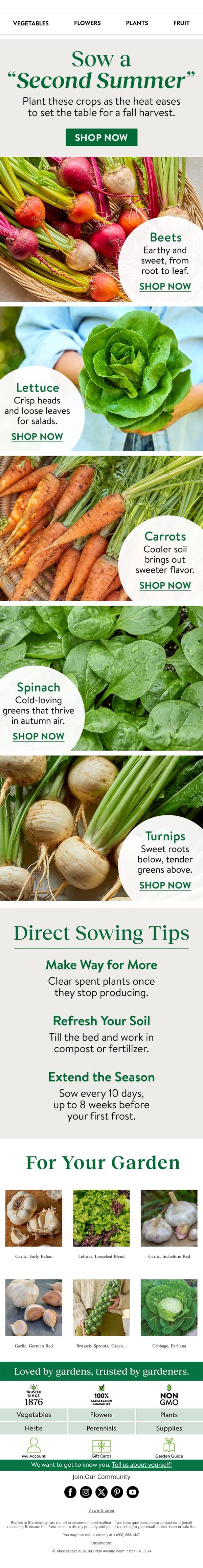 Sow your "Second Summer” garden email from Burpee Seeds screenshot