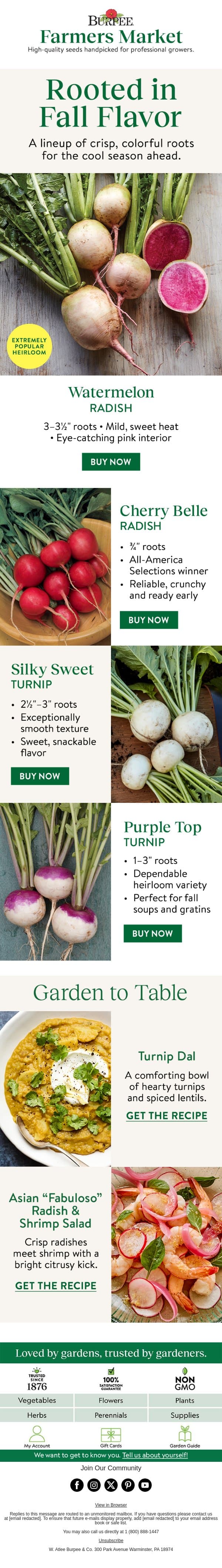Crunch time is coming email from Burpee Seeds screenshot