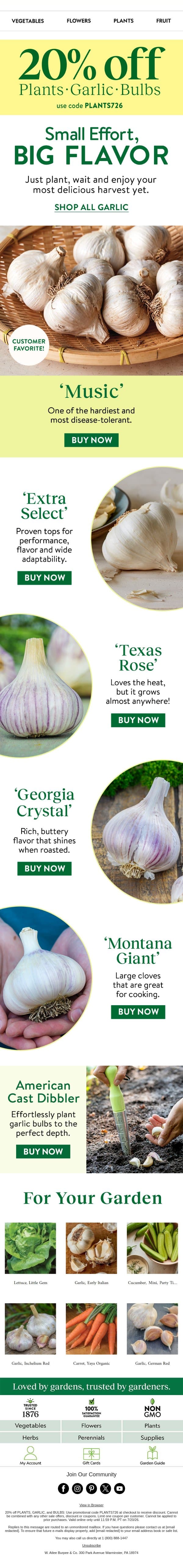 Growing garlic is easy email from Burpee Seeds screenshot