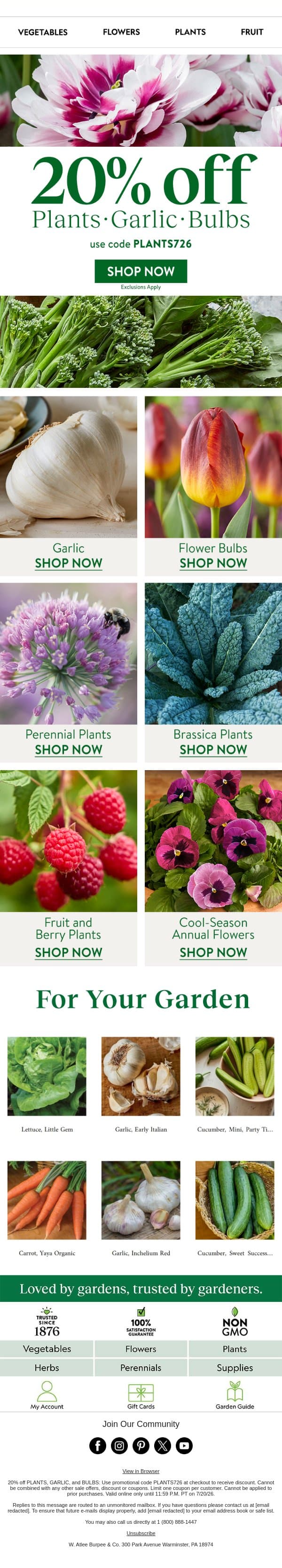 20% off plants, garlic & bulbs email from Burpee Seeds screenshot
