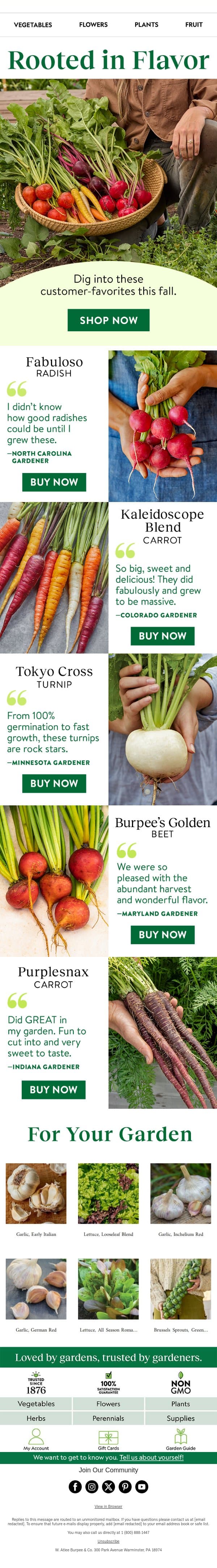 Dig into customer favorites 🥕 email from Burpee Seeds screenshot