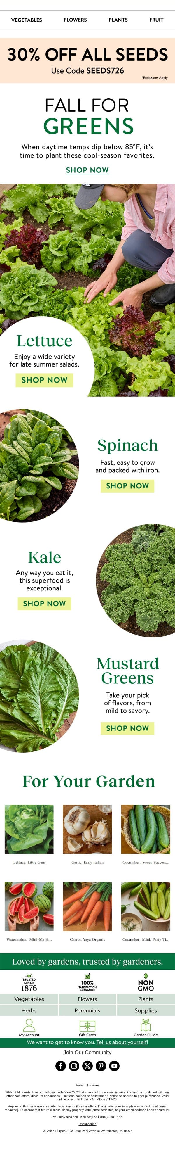 Must-have greens for fall email from Burpee Seeds screenshot