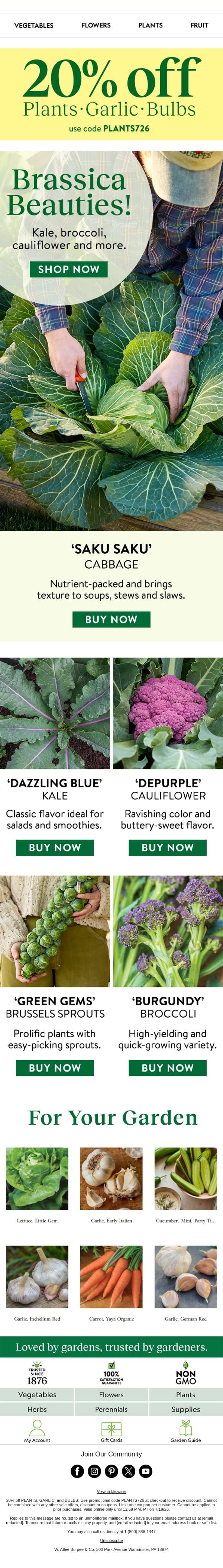 What to grow now: brassicas email from Burpee Seeds screenshot