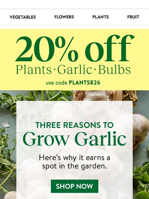 Grow your own garlic this year email from Burpee Seeds