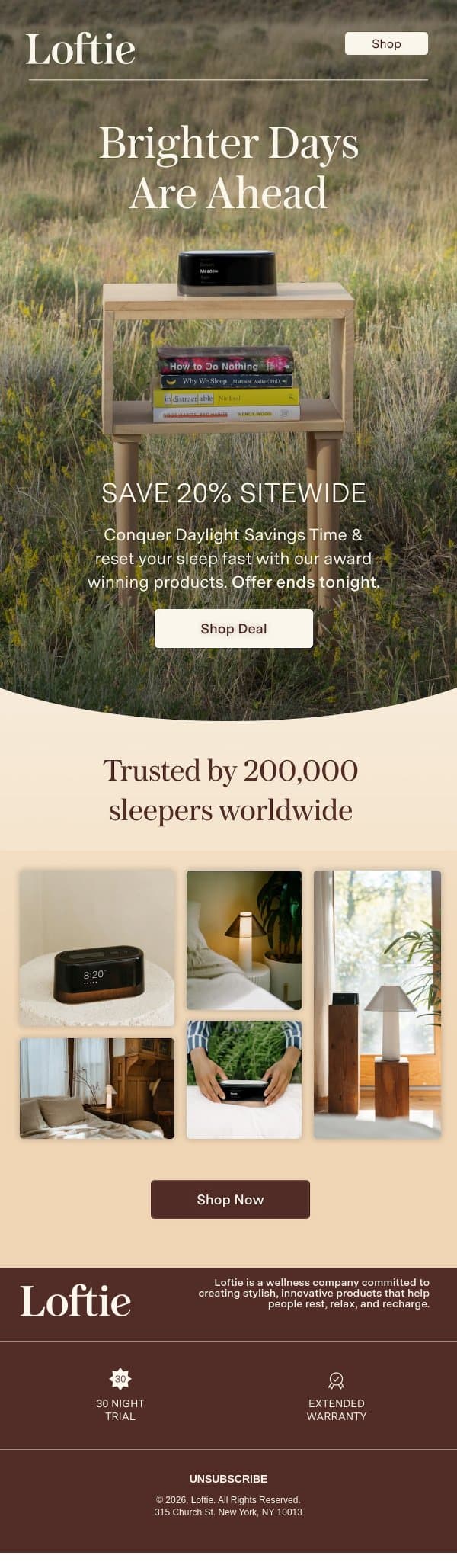 π¨ FINAL HOURS: SAVE 20% π¨ email from Buy Loftie screenshot