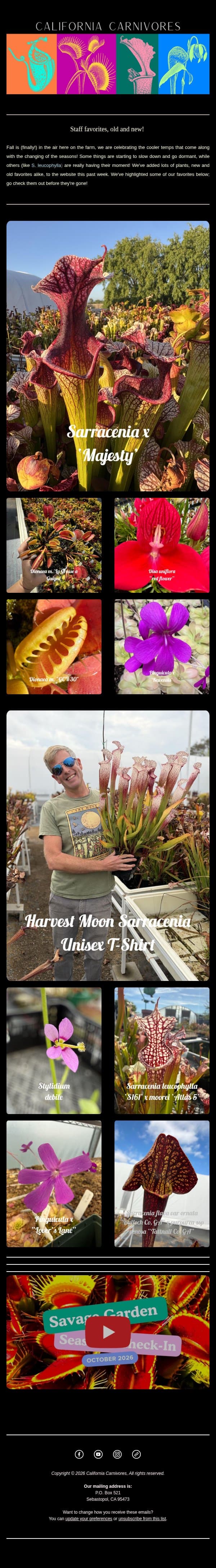 Staff Favorites: (Some of) our favorite plants this week! 🍂 email from California Carnivores screenshot