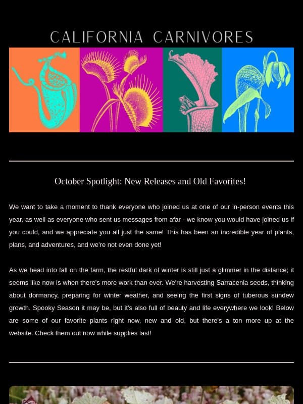 October Spotlight: New releases and old favorites galore! π€© email from California Carnivores