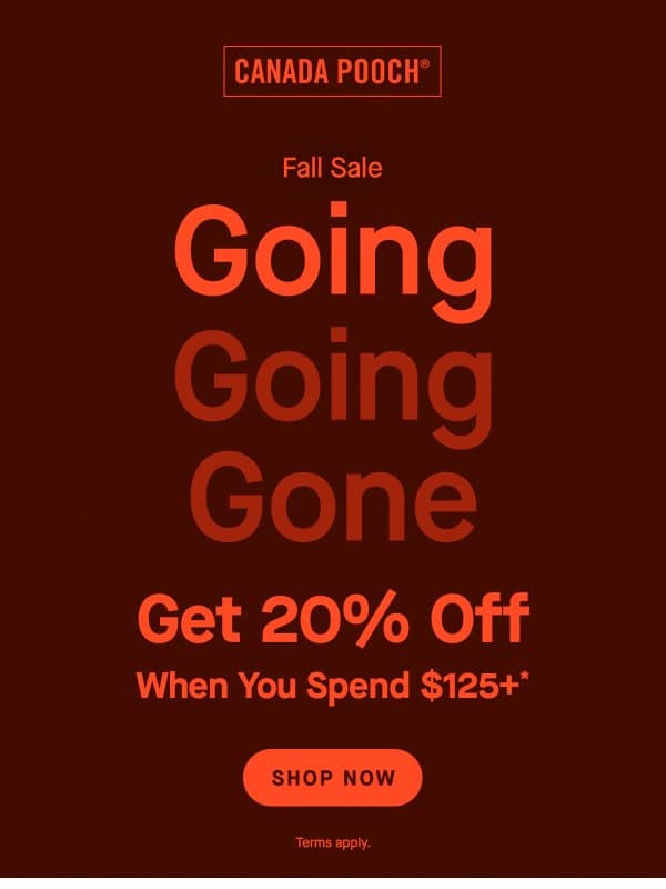 Final Hours of 20% OFF‼️ email from Canada Pooch