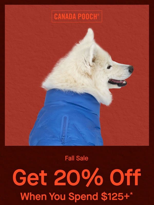 New For Fall & Now ON SALE! email from Canada Pooch