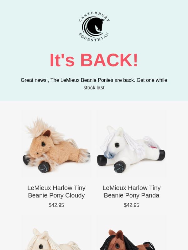 BACK IN STOCK Tiny Beanie Ponies – New Grace in LA email from Canterbury Equestrian