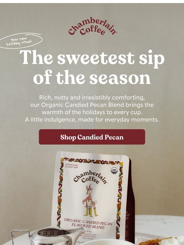 Home for the holidays email from Chamberlain Coffee