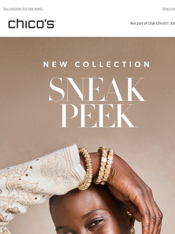 NEW SNEAK PEEK + $20 off email from Chico's