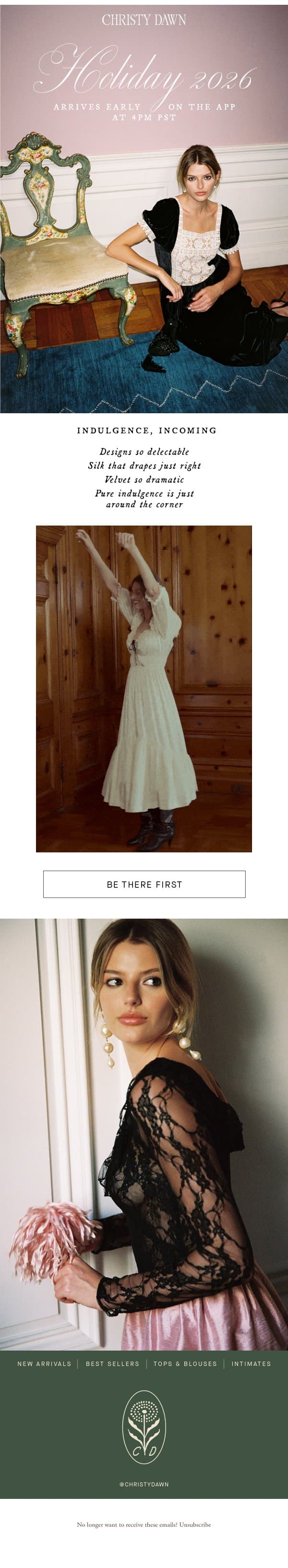 FEAST YOUR EYES email from Christy Dawn screenshot