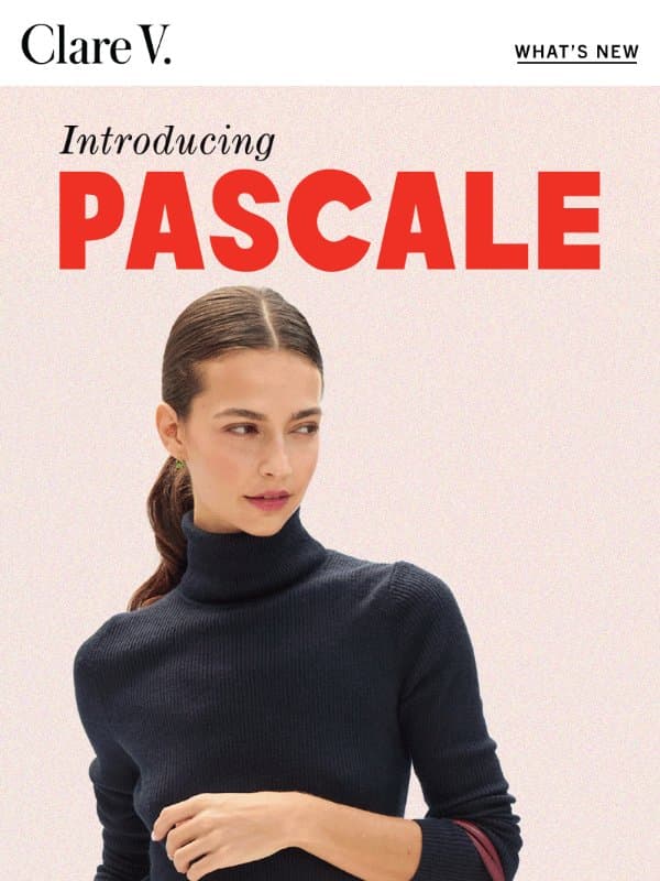 Introducing Pascale email from Clare V.