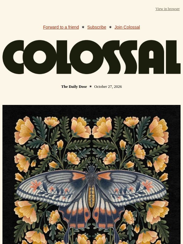 Dark and Moody email from Colossal